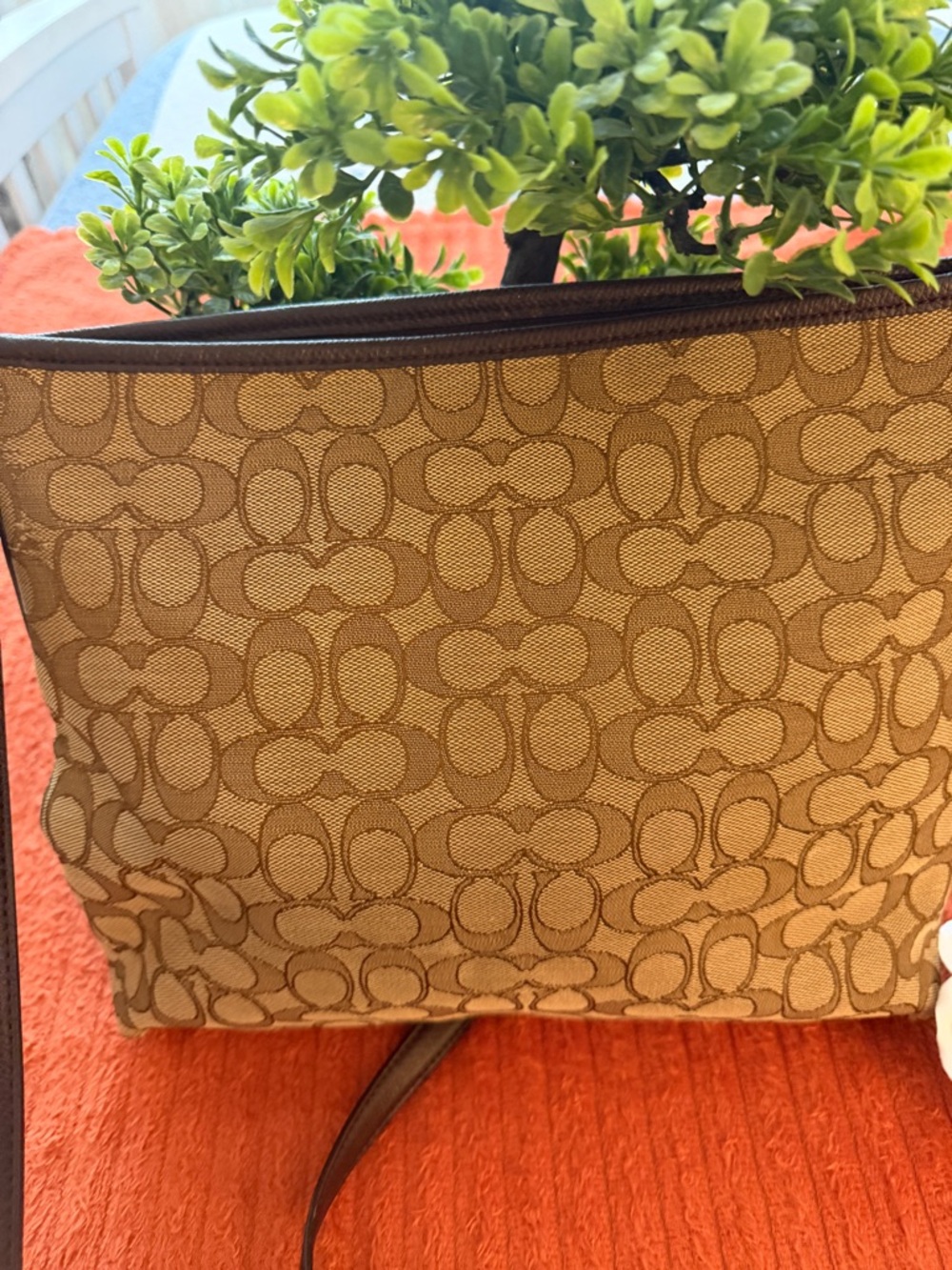 Coach Beige Signature Canvas Crossbody with Brown Trim - Picture 5 of 16